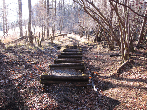 20191129hike (607)
